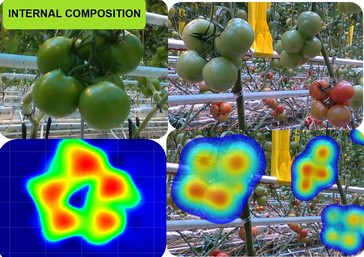 Internal sensing compositions